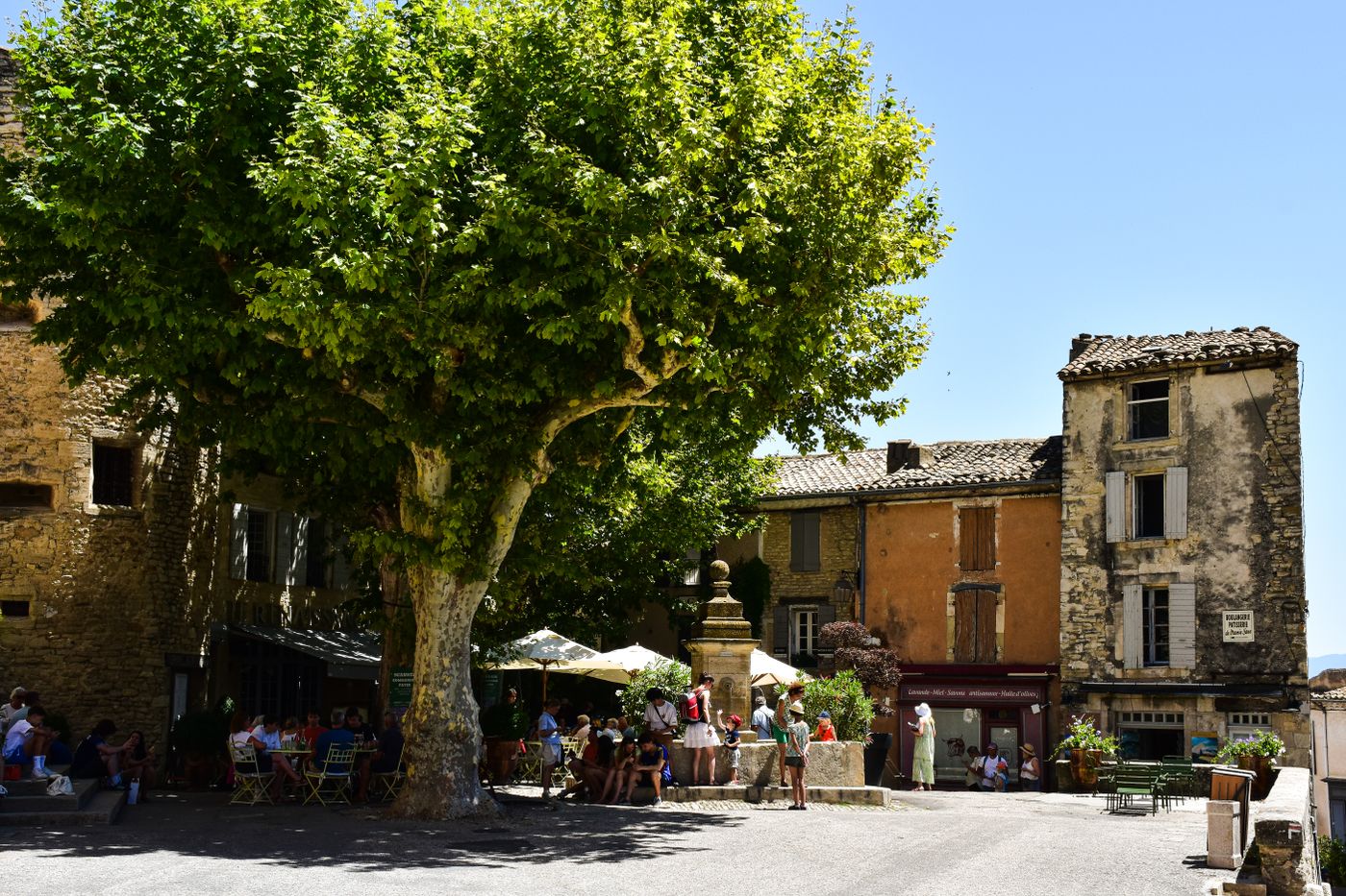 Une place de village provençale ombragée par un grand platane (photo d’illustration)